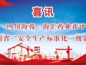 海蓉、海匯藥業(yè)獲評“安全生產(chǎn)標準化二級企業(yè)”
